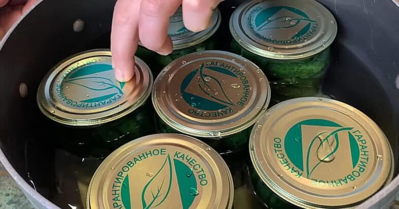 Verdu dabar, o žiemą atidarau pirmiausia: traškūs kornišonai su garstyčiomis ir krapais iliustracija 2