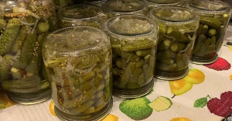 Verdu dabar, o žiemą atidarau pirmiausia: traškūs kornišonai su garstyčiomis ir krapais iliustracija 3