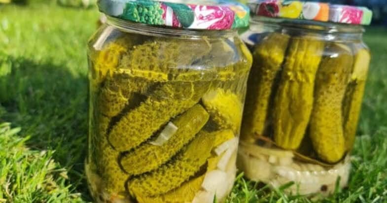 Verdu dabar, o žiemą tokius agurkus atidarau pirmiausia: bulgariški kornišonai be perteklinių priedų iliustracija 3