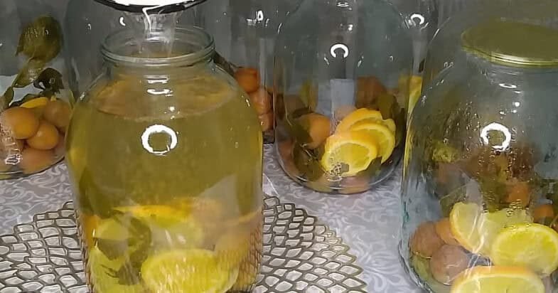 Abrikosų mėtų kompotas žiemai, kurį verdu dabar, kol vaisiai dar standūs ir kvapnūs 3