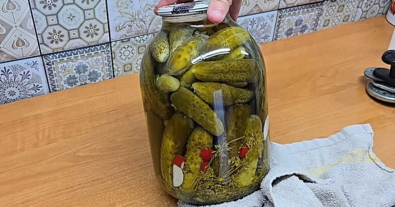 Paruošti pomidorų stiklainiai