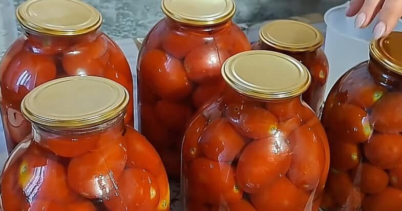Kol slyviniai pomidorai dar patys saldžiausi, užsuku juos į marinatą: paprastas pomidorų receptas, kurio stiklainiai dingsta pirmi 2