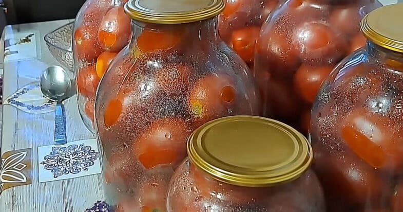 Kol slyviniai pomidorai dar patys saldžiausi, užsuku juos į marinatą: paprastas pomidorų receptas, kurio stiklainiai dingsta pirmi 3