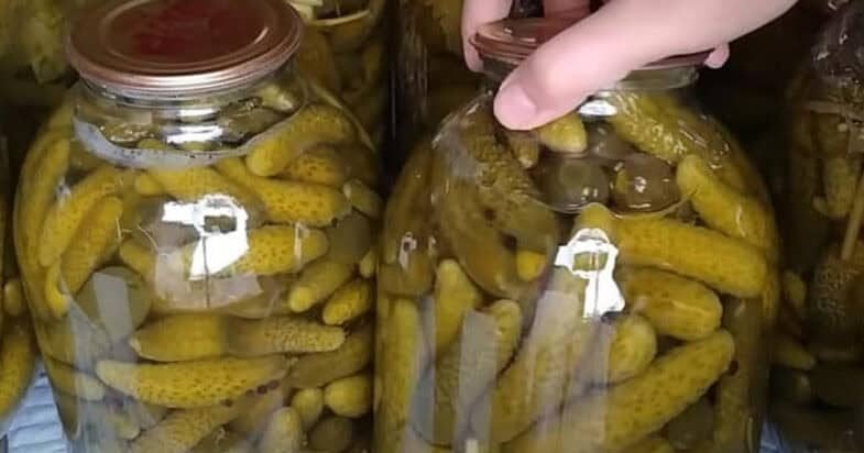 Marinuoti agurkai žiemai