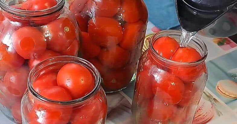 Pomidorai stiklainiuose