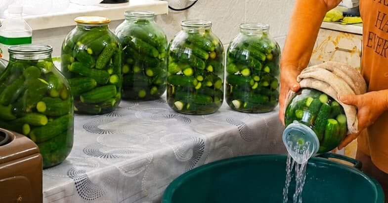 Traškūs agurkai su paprastu užpilu, kuriuos užsukus rūsio lentyna tuštėja pirmiausia 1
