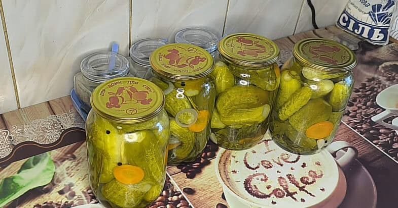 Paruošti „Veres“ agurkai