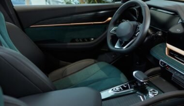 Riebios dėmės ant automobilio sėdynių nedingsta? Pabandykite šiuos naminius būdus